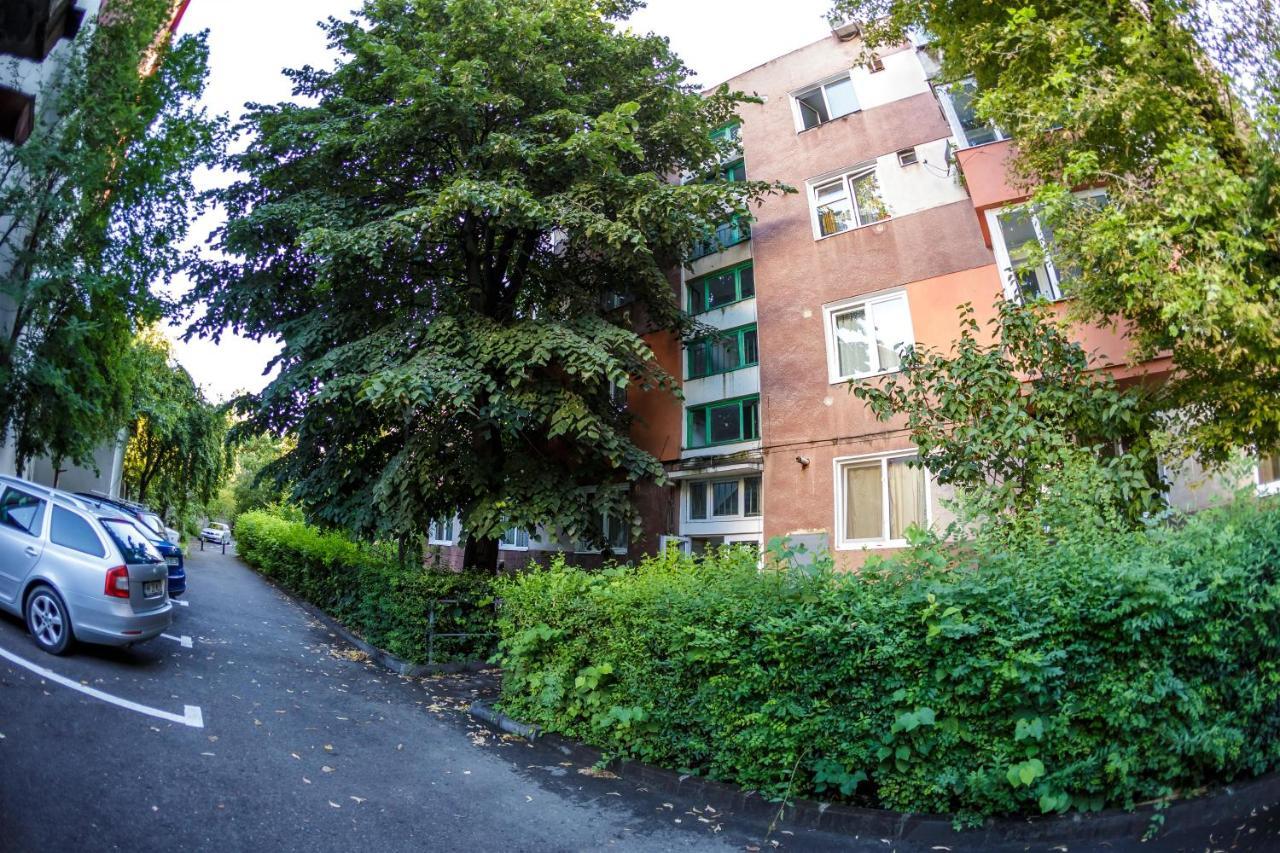 Apartament Family Rivulus 8 Baia Mare Eksteriør bilde